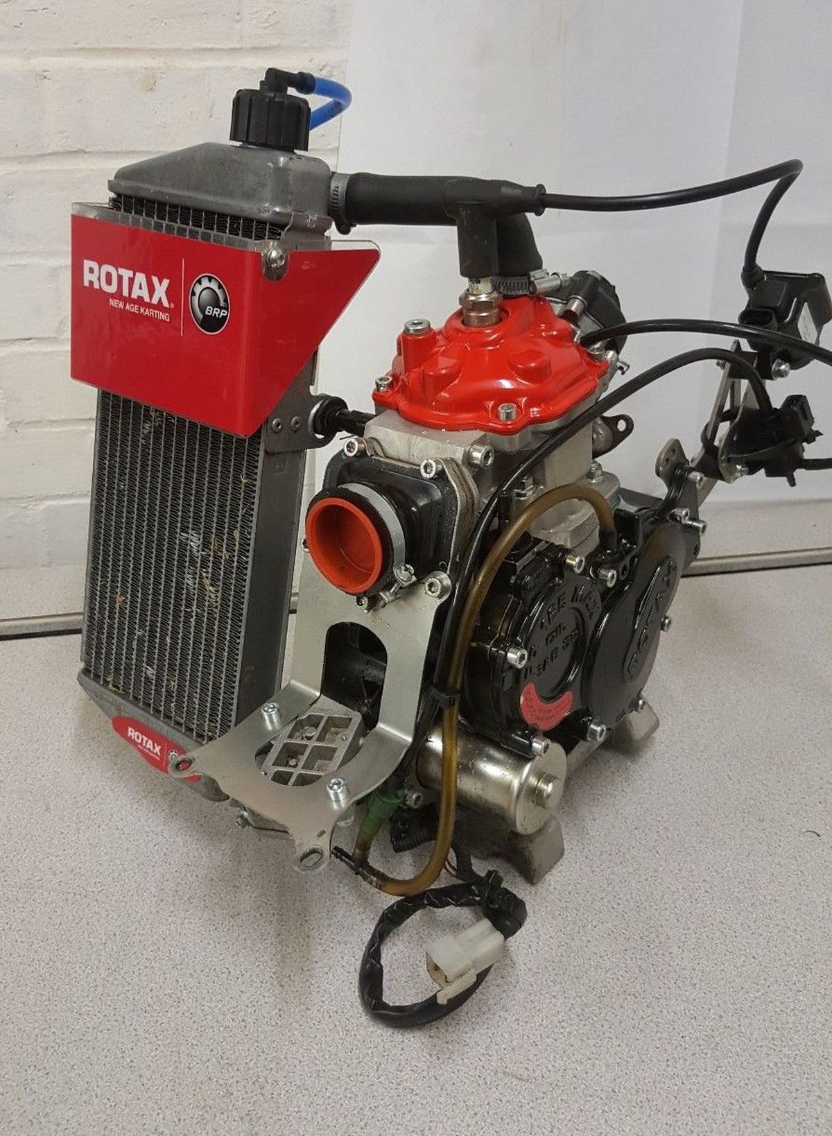 SecondhandKarting.co.uk Complete Kart Engines Rotax 2017 Evo